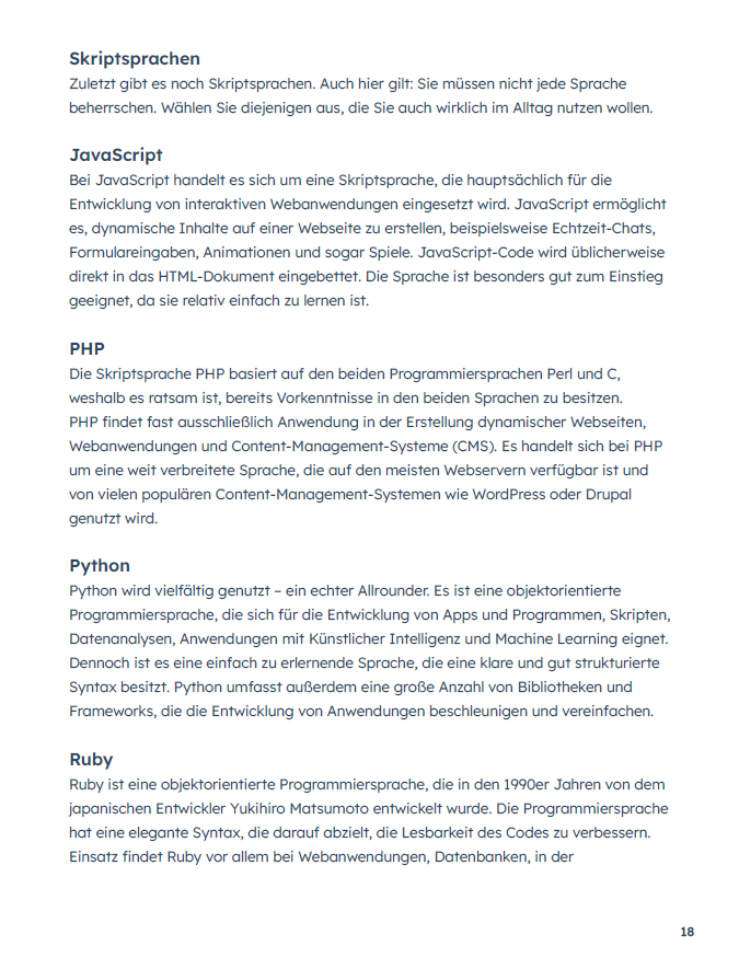 webentwicklung-slide-2