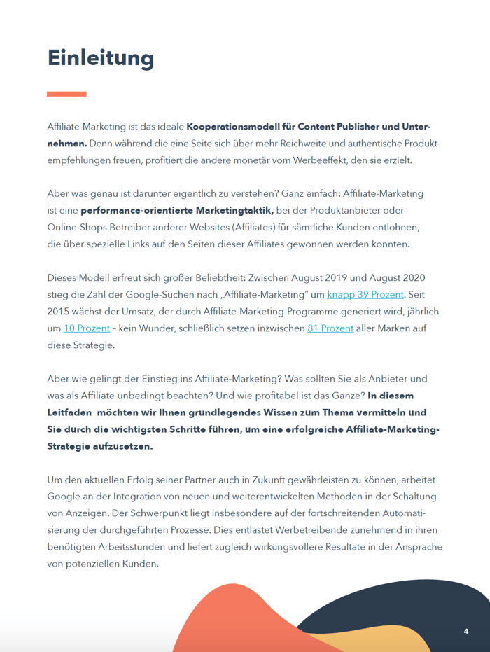 Affiliate Marketing Guide Preview 3