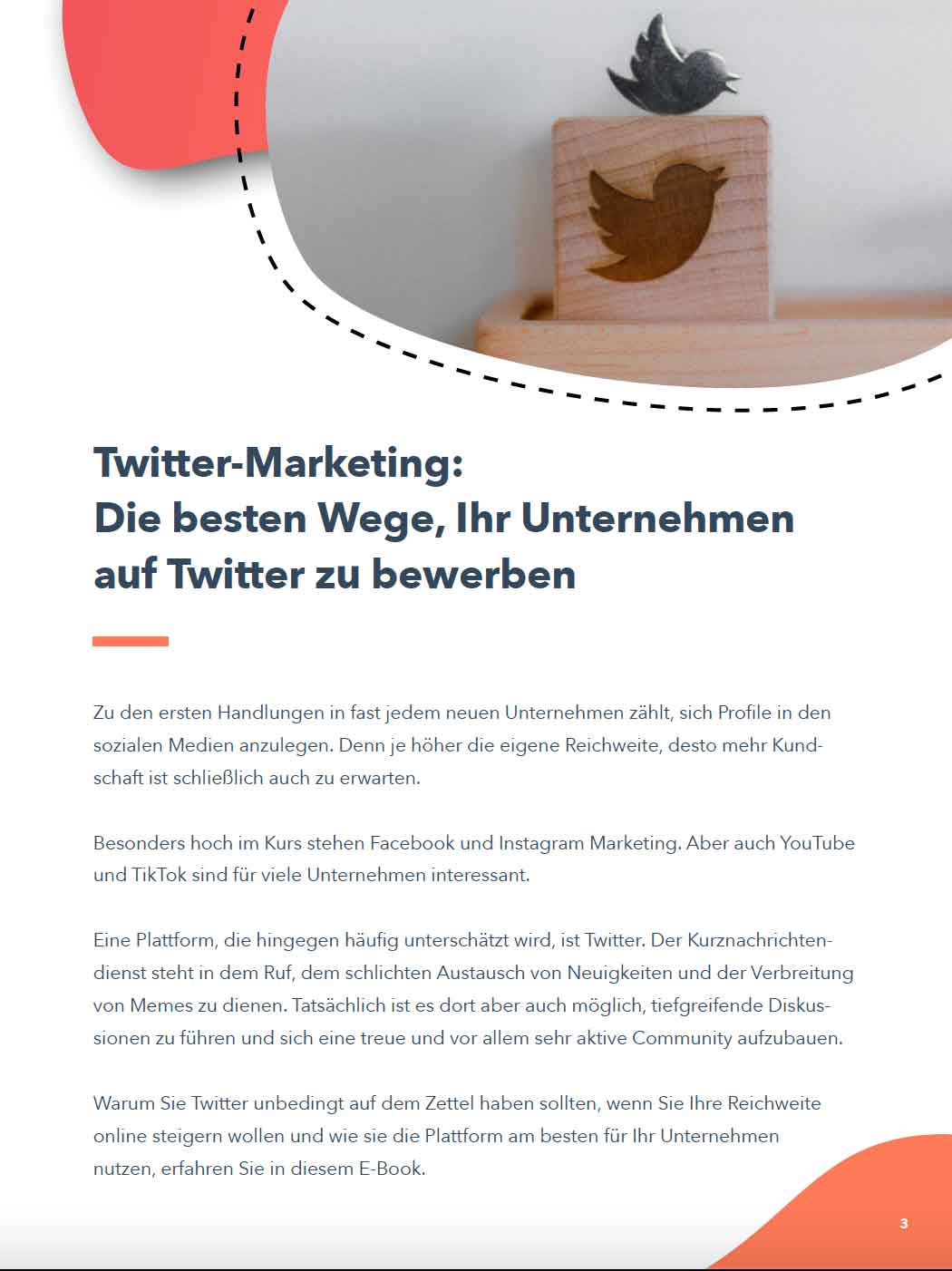 Twitter-Marketing-Preview-2